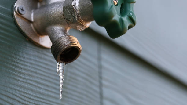 Best Affordable Plumbing Services  in Coing, AL